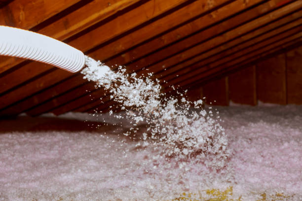 Best Cellulose Insulation in Sonterra, TX