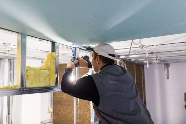 Types of Insulation We Offer in Sonterra, TX