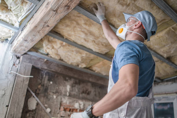 Best Eco-Friendly Insulation in Sonterra, TX
