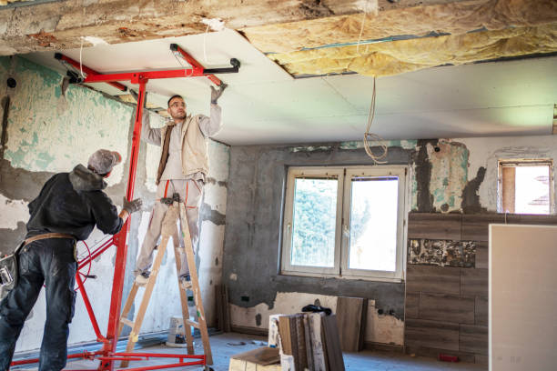 Best Blown-in Insulation in Sonterra, TX