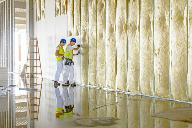Best Specialized Insulation Services in Sonterra, TX